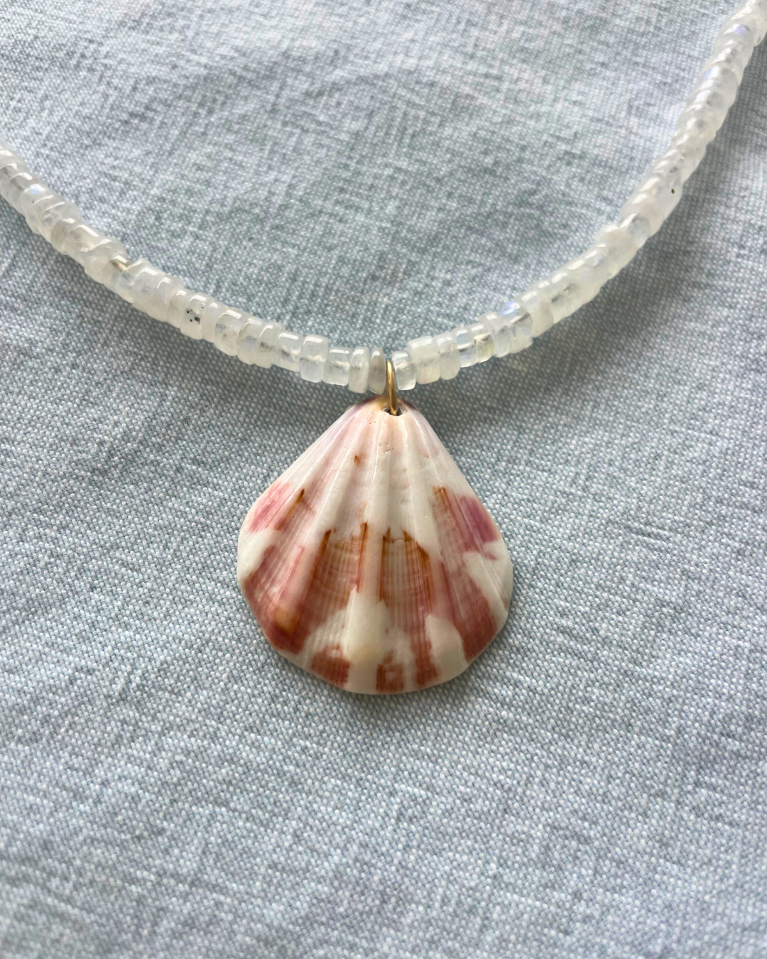 Luna - Rainbow Moonstone Shell Necklace