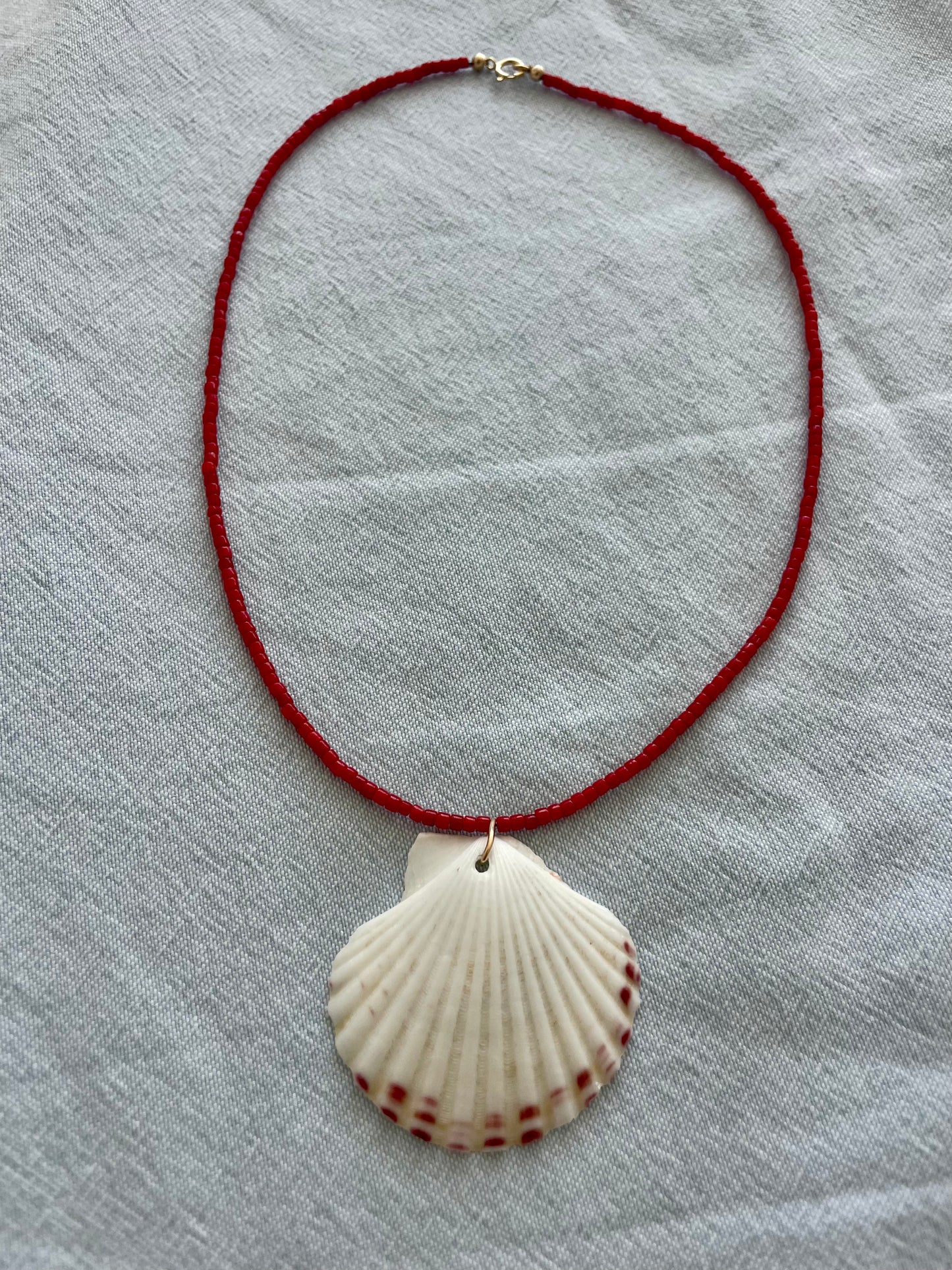 Coral Shell Necklace