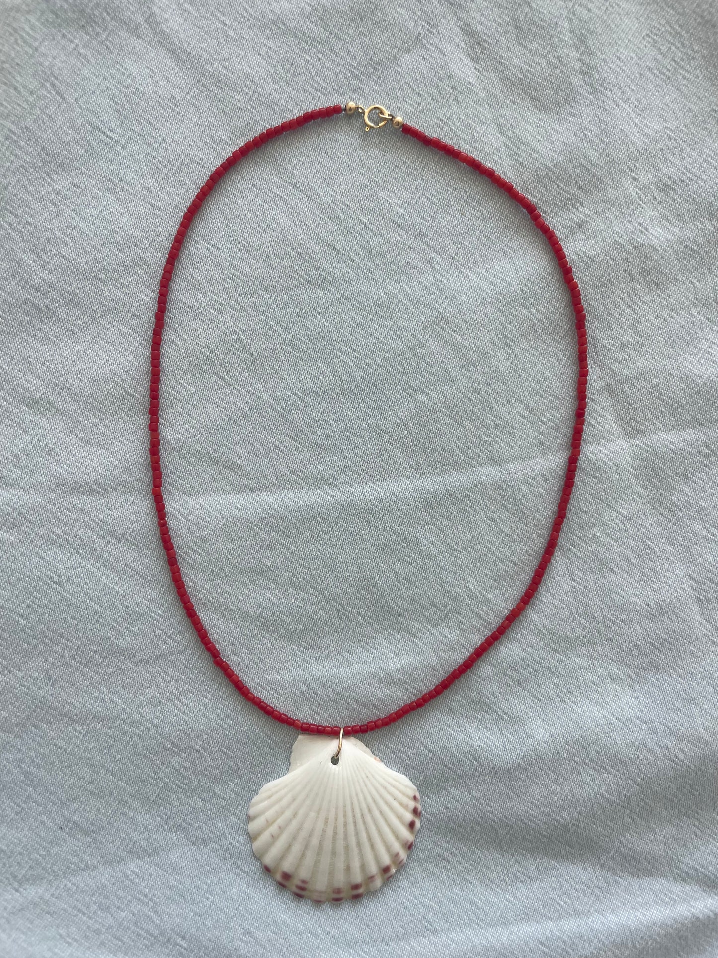 Coral Shell Necklace