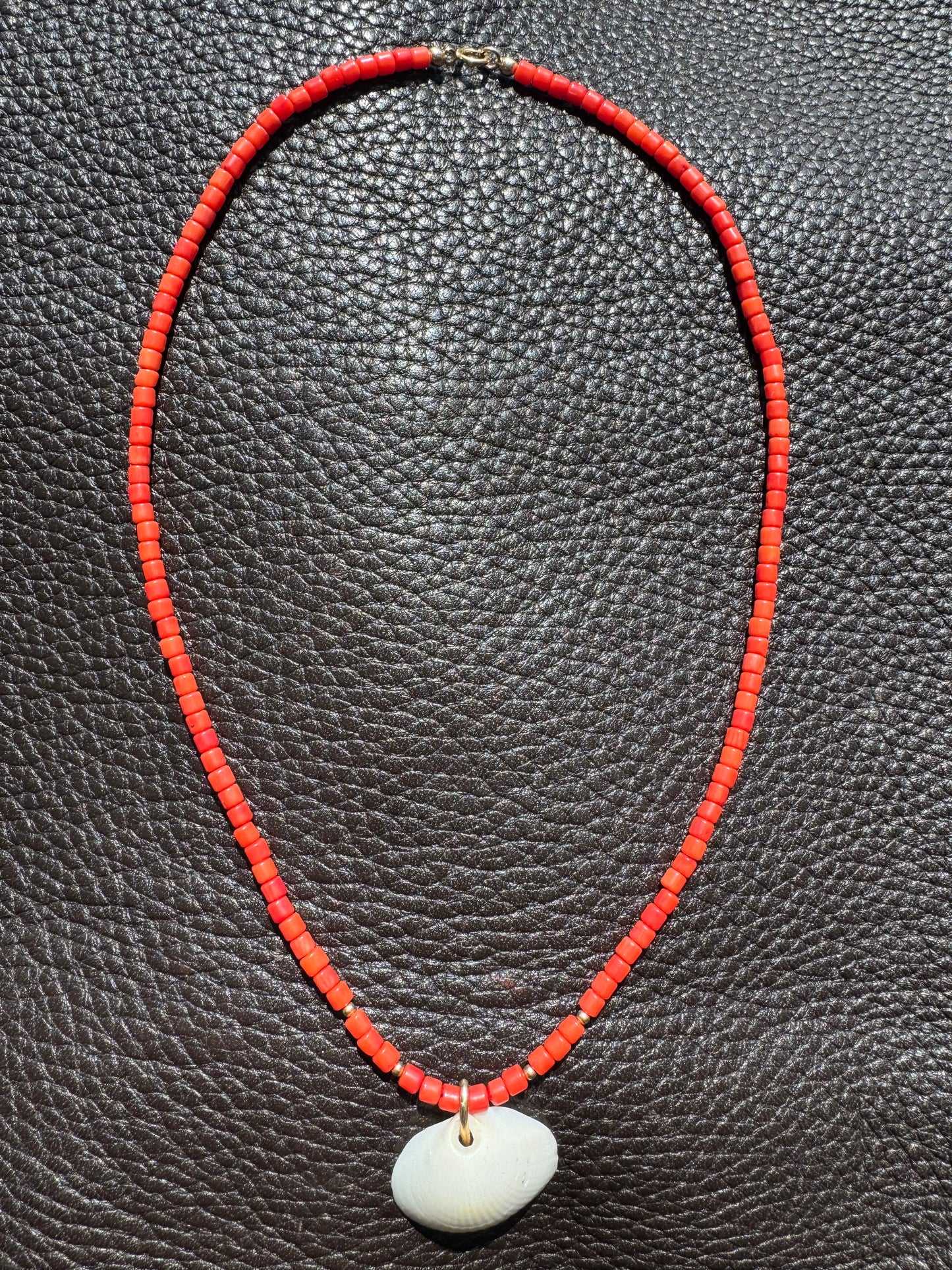 Coral Shell Necklace (small shell)