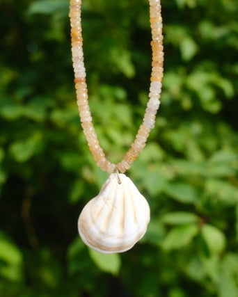 Necklace with a shell pendant against a green leafy background
