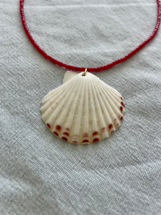 Coral Shell Necklace