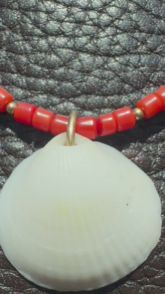Coral Shell Necklace (small shell)